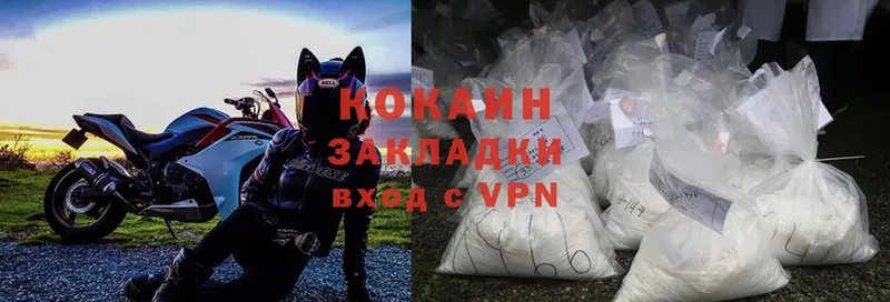 как найти наркотики  Губаха  shop какой сайт  Cocaine VHQ 