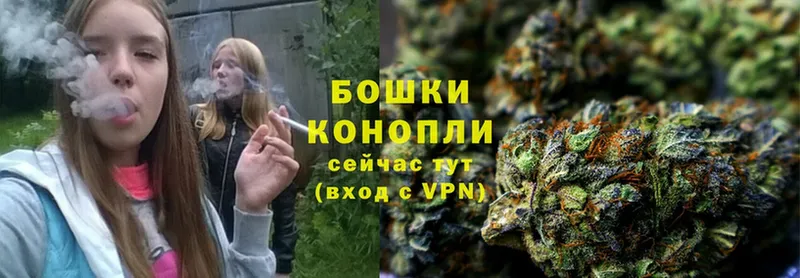 МАРИХУАНА OG Kush  Губаха 